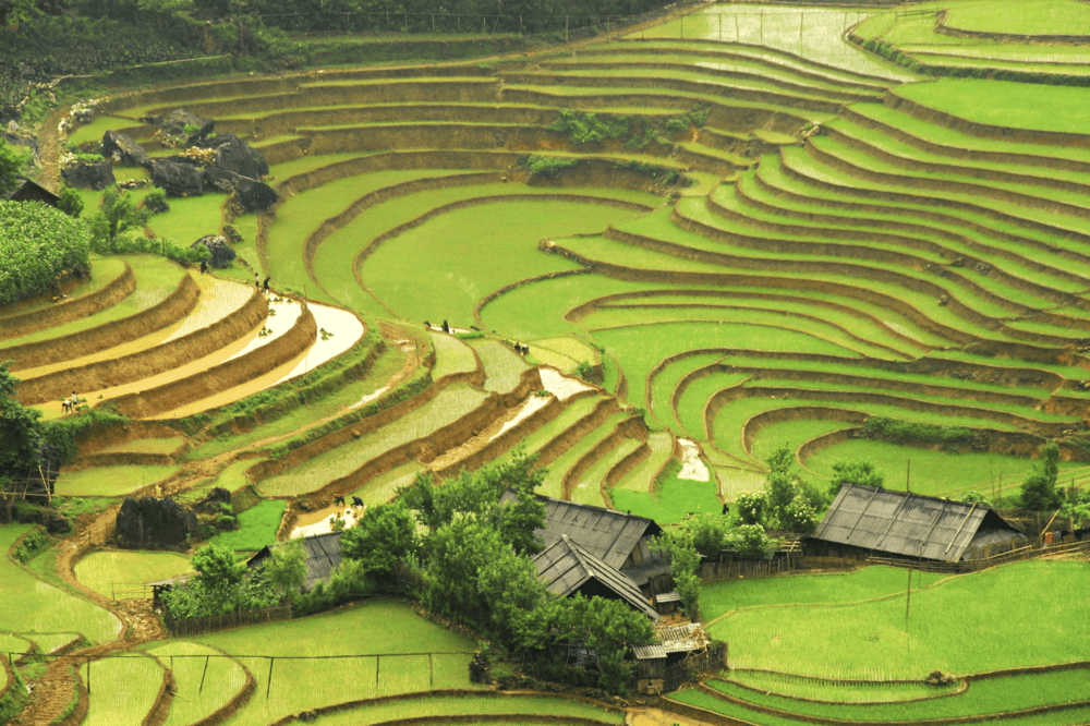 The weather in Northern Vietnam in October becomes cooler and drier, with a slight chill toward the end of the month (Source: Vietnam Airlines)